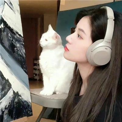 十年情丝终成空茧